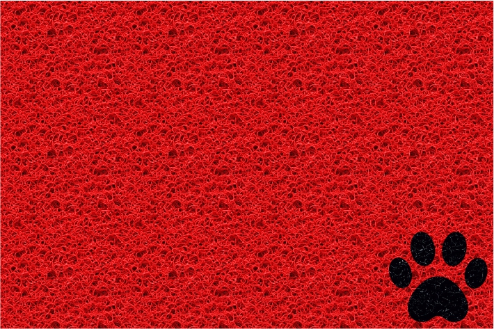 Tapete Capacho Pet 60x40cm Vermelho 